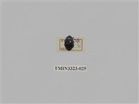 藏品(台灣琉璃豆金龜)的圖片